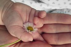 Ateliers bébé signe