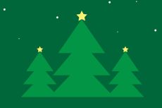 Collecte des sapins