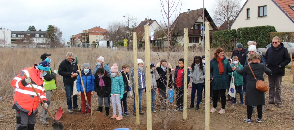 Projets - Mairie Oberhausbergen